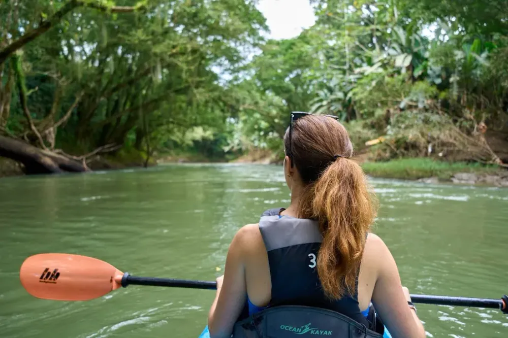 Descendre la crique en kayak : itinéraires nature près de Cayenne
