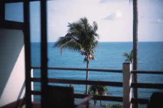 Toucan Motel : la location à l'heure en Guyane, à partir de 3 heures