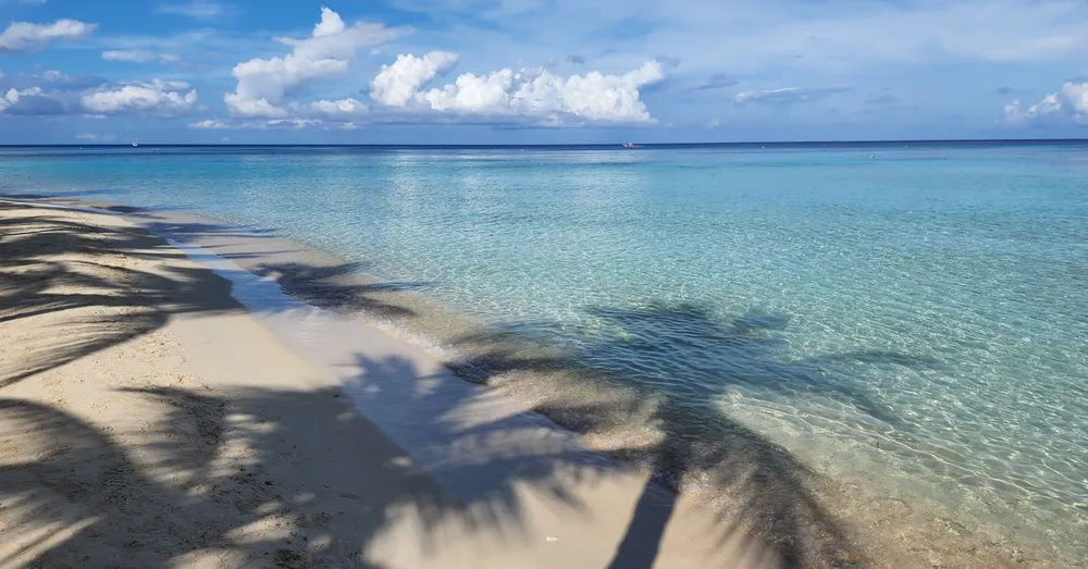 Alquiler vacacional en Kourou: tu campamento base ideal entre playas, islas y cohetes