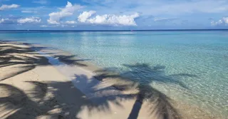 Alquiler vacacional en Kourou: tu campamento base ideal entre playas, islas y cohetes