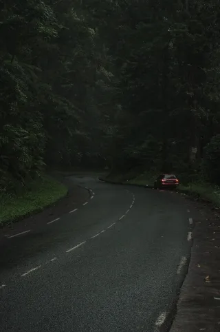 Location voiture Martinique : sites incontournables, loueurs et pièges à éviter