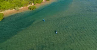 Manguezal da baía de Génipa em caiaque transparente: guia de exploração entre Ducos e Rivière-Salée