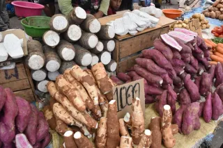 Marché de Basse-Terre : reconnaître et cuisiner les fruits-pays et légumes racines