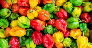 Mercado de especiarias e sabores crioulos em Guadalupe: o guia de degustação dos nossos anfitriões