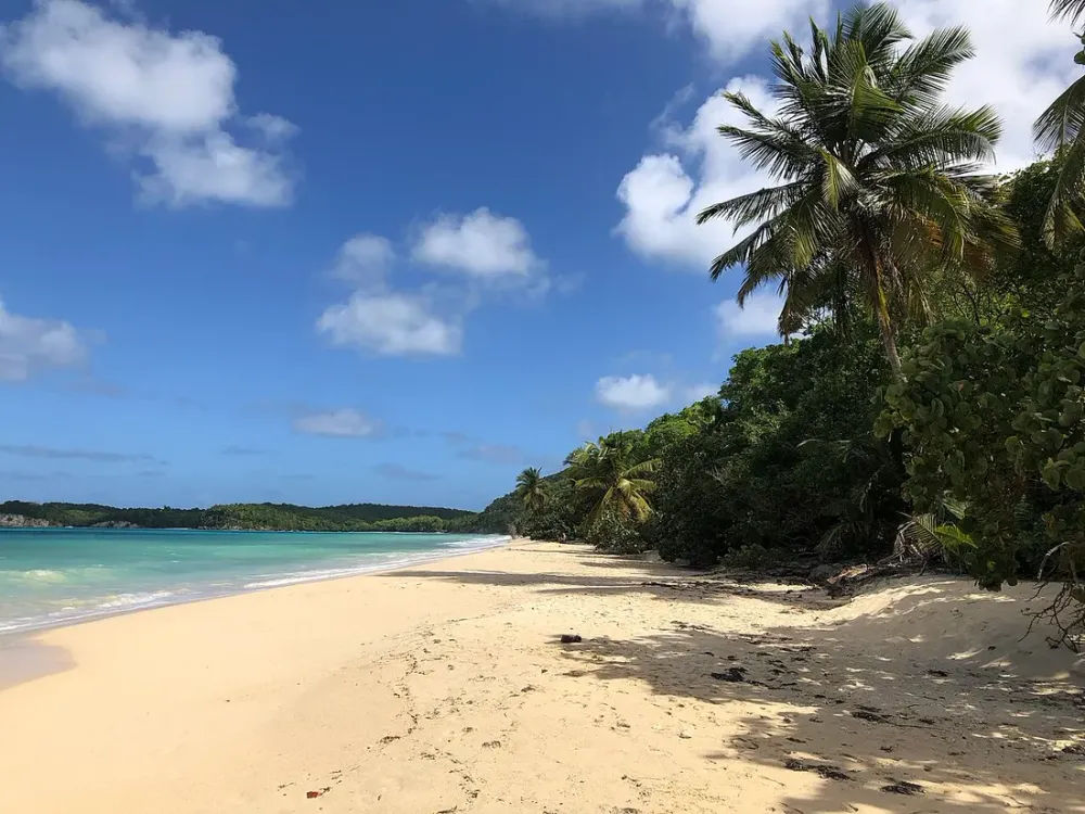 Marie-Galante : faut-il investir dans une location saisonnière ?