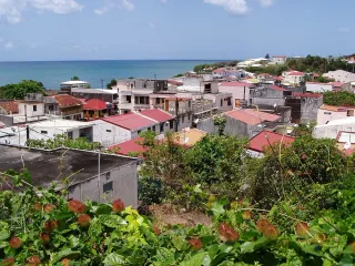 Le Marin et Sainte-Luce : marché, rhum et tables du Sud martiniquais