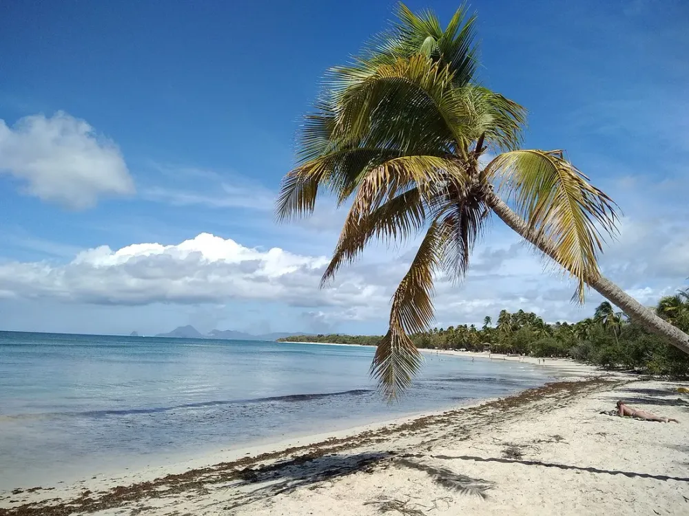 Martinique en famille : nos activités triées par âge des enfants