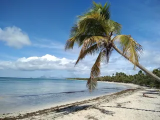 Martinique en famille : nos activités triées par âge des enfants