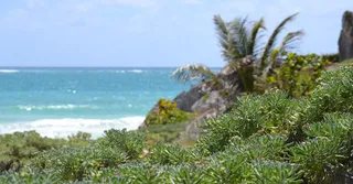 As mais belas praias de Guadalupe (2026)