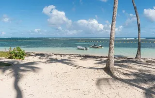 Les plus belles plages de Guadeloupe (2026)