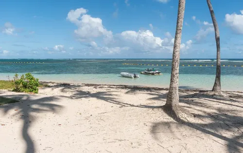 Les plus belles plages de Guadeloupe (2026)