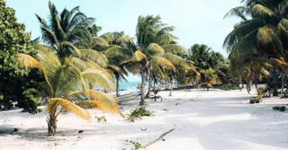 Las 7 playas más bonitas de Martinica (2026)