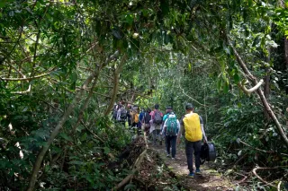 Trek vers la montagne de Kaw et le carbet du bout du monde