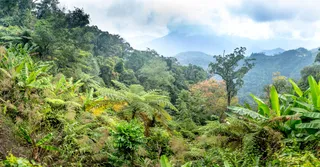 Montaña Pelée y la ruta de la Trace (Martinique): ascenso y guía 2026