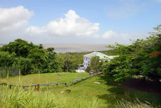 Posted overseas: French Guiana vs the French West Indies, a practical comparison