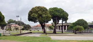 Où loger à Cayenne ? Hôtel vs location pas cher (guide 2026)