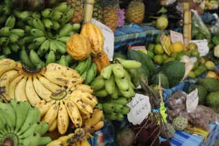 Proposer des paniers produits-pays a ses locataires : regles et TVA DOM