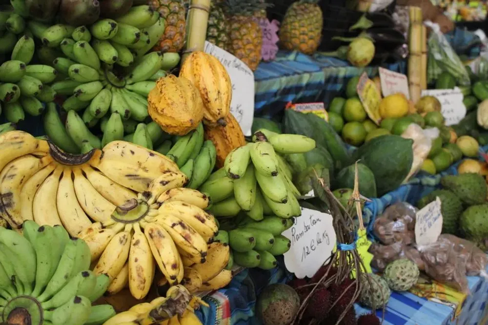 Proposer des paniers produits-pays a ses locataires : regles et TVA DOM