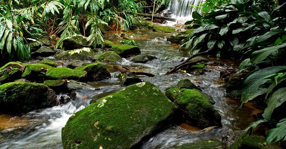 Travel Documents for French Guiana: What You Really Need from Mainland France