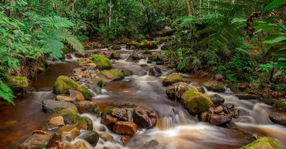 Amazonian Park of French Guiana: Access, Permits and Gateway Villages to Know Before You Go