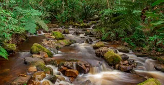 Amazonian Park of French Guiana: Access, Permits and Gateway Villages to Know Before You Go
