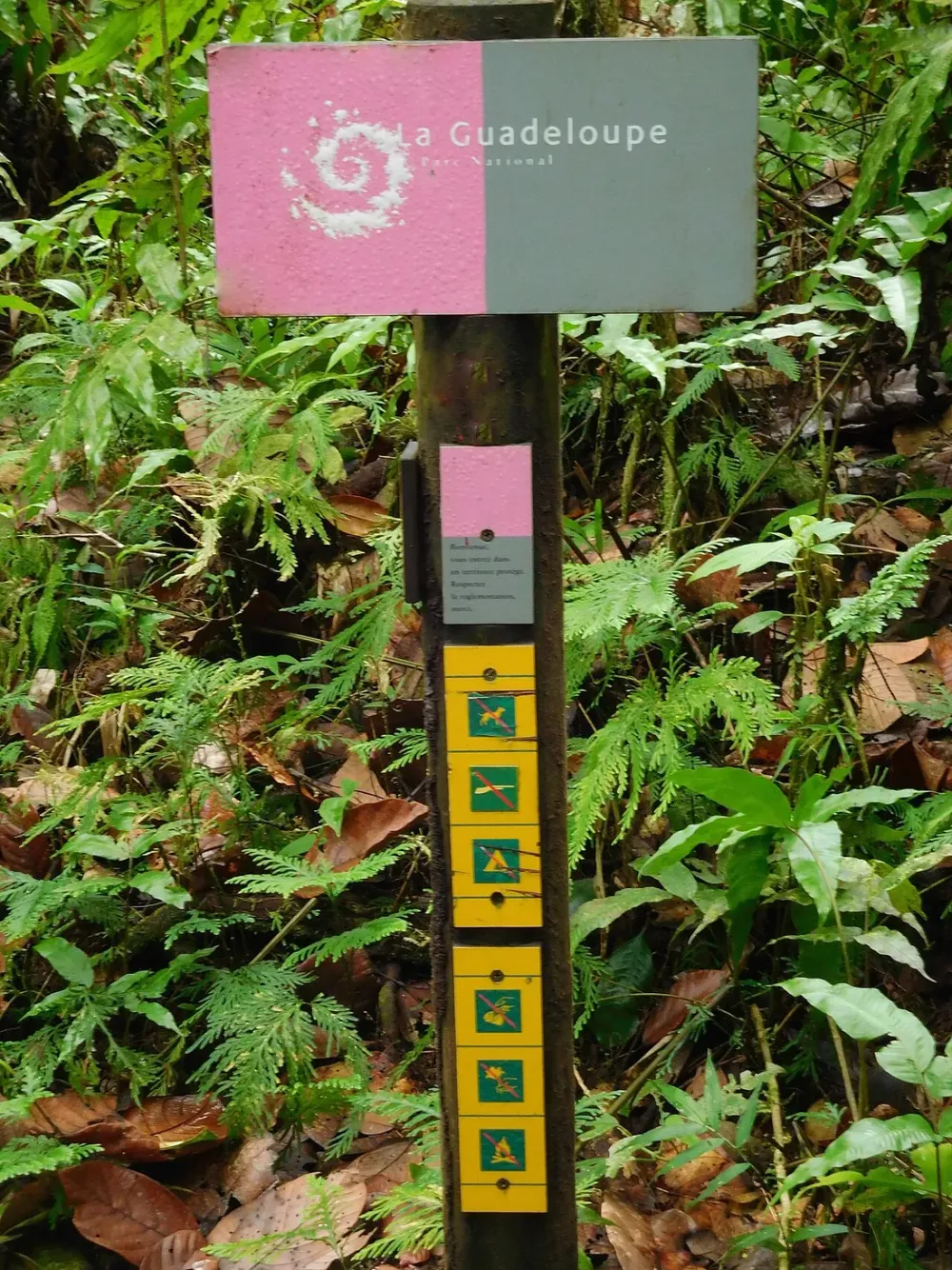 Parc national de la Guadeloupe : reglementation randonnee a connaitre