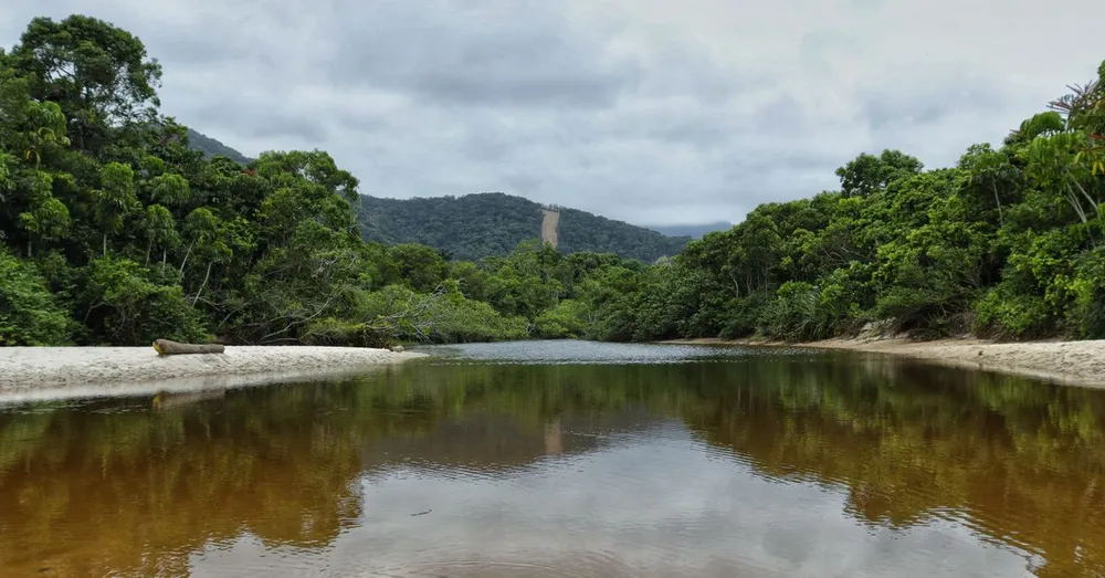 Pesca esportiva e estuários da Guiana Francesa: guia dos pontos costeiros
