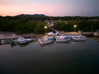 Pêche au gros et estuaires de Guyane : guide des spots côtiers