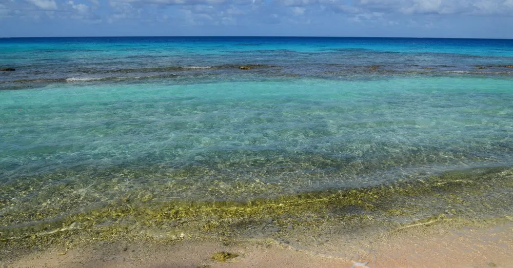 Praia de Bois Jolan em Sainte-Anne: lagoa rasa perfeita para crianças