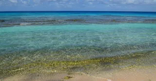 Praia de Bois Jolan em Sainte-Anne: lagoa rasa perfeita para crianças