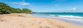 Plage de Cluny Sainte-Rose : crique confidentielle de Basse-Terre nord