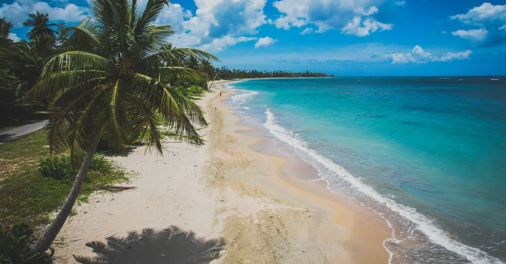 Praia de Cluny, Sainte-Rose: a enseada secreta do norte de Basse-Terre