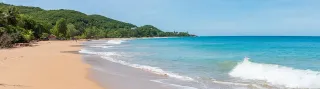 Plage de la Perle Deshaies : surf, courants et série Death in Paradise