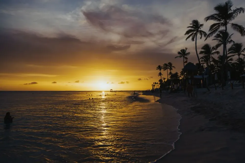 Plage de Montjoly : baignade, maracudja et couchers de soleil, le guide d'un local