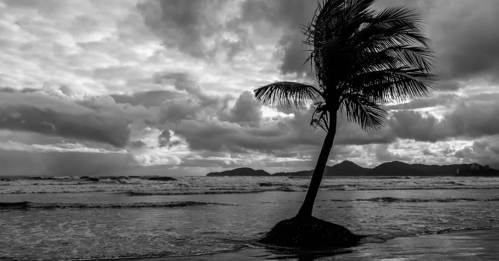 Northern Atlantic Beaches in Martinique: Anse Charpentier and Anse Couleuvre, Wild Black Sand