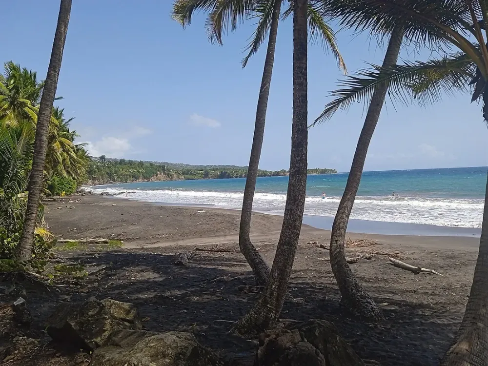 Plages de sable noir de Basse-Terre : où et pourquoi les découvrir