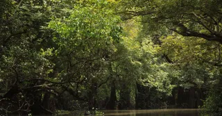 Las playas de la Guayana Francesa: guía de los lugares de Cayena al oeste