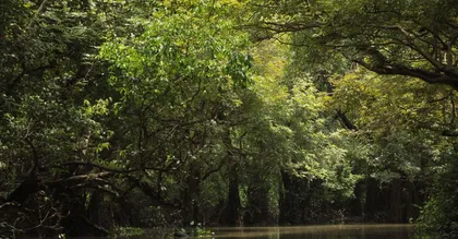 As praias da Guiana Francesa: guia dos points de Caiena ao oeste
