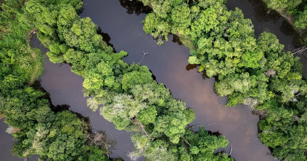 Playas de la Guayana Francesa: Montjoly, Awala, Salines y el secreto del agua cargada