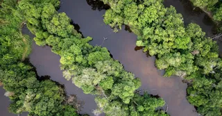 Playas de la Guayana Francesa: Montjoly, Awala, Salines y el secreto del agua cargada