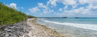 Plages secrètes de Grande-Terre : nos anses confidentielles entre Le Moule et Saint-François