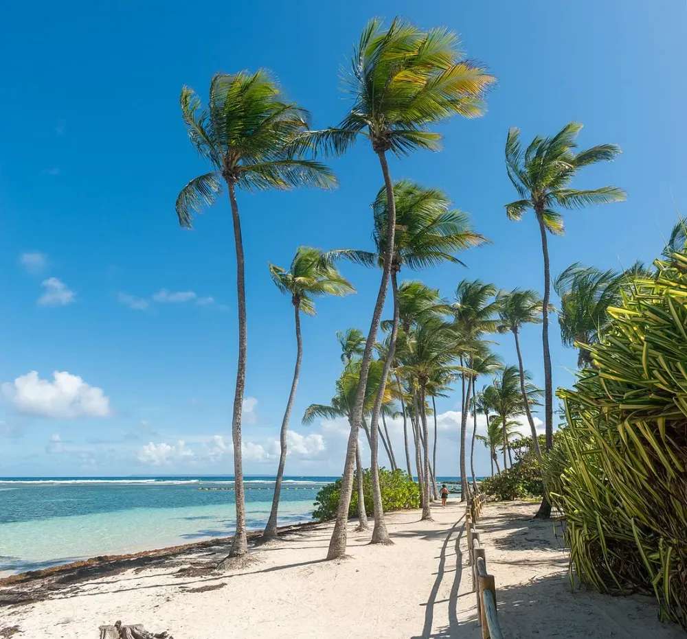 Plages du Sud Grande-Terre : Sainte-Anne, Bois Jolan, Caravelle, le comparatif des lagons