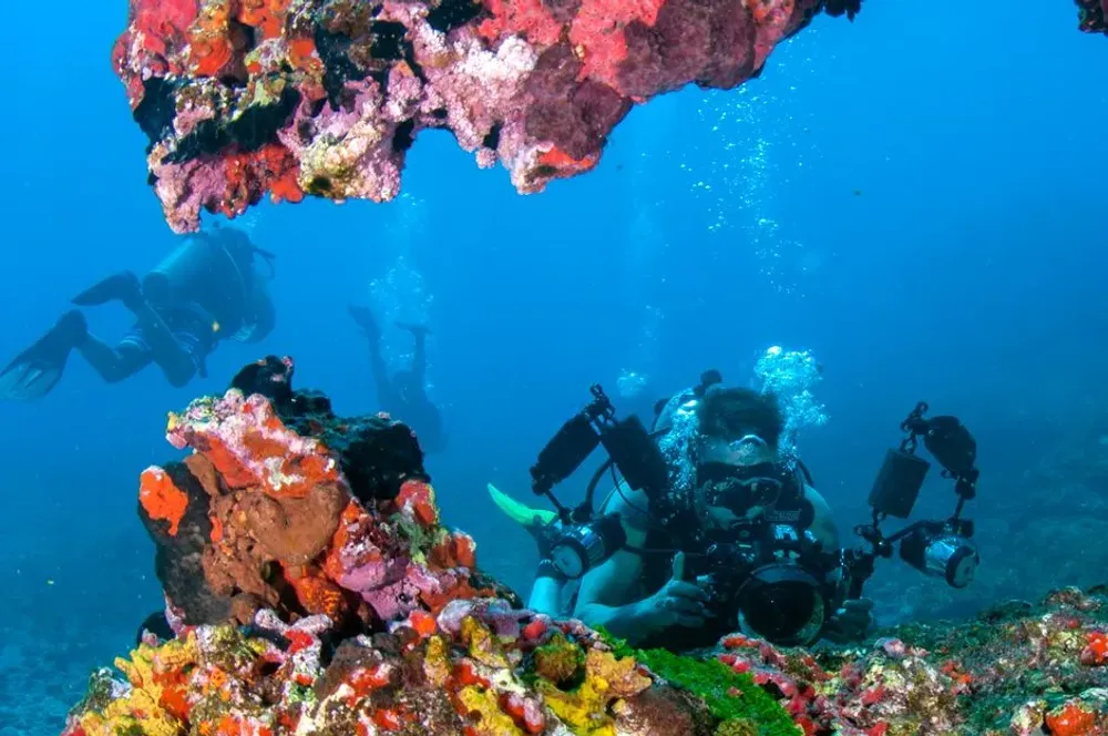 Plongée sous-marine en Martinique : les meilleurs spots par zone