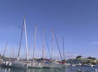 Pointe-à-Pitre, Baie-Mahault, Le Gosier : quel quartier ?
