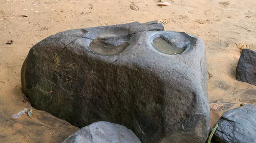 Polissoirs de la Roche Piaye et sentier du Rorota à Rémire-Montjoly