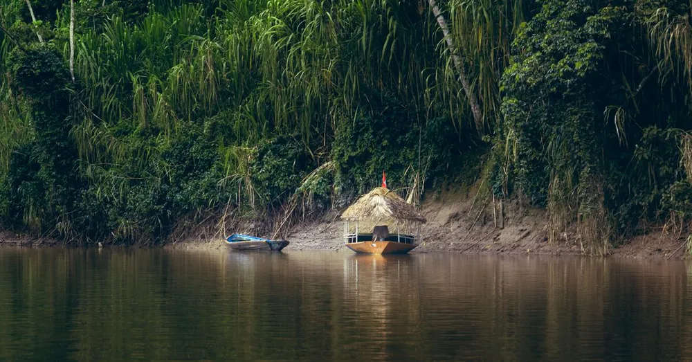 Primeira viagem à Guiana Francesa: os erros a evitar e nossas dicas de quem conhece o terreno