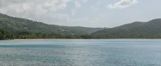Première annonce Airbnb en Guadeloupe : guide débutant propriétaire