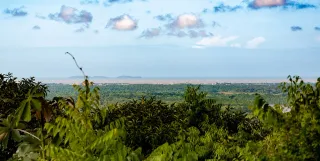 Seus primeiros fins de semana: descobrir a Guiana Francesa enquanto você se instala