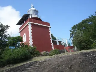 Presqu'île de la Caravelle : réserve, mangrove, phare et château Dubuc au départ de Tartane