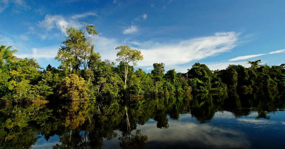 Precios por noche de alquiler en Guayana Francesa: tarifas por municipio y temporada